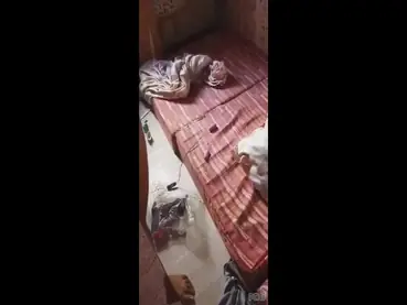 Di Kamar Pacar Ngentot Panas Sange Amatir poster